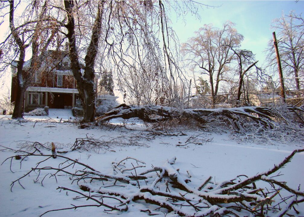 2009: January storms in the Midwest and South